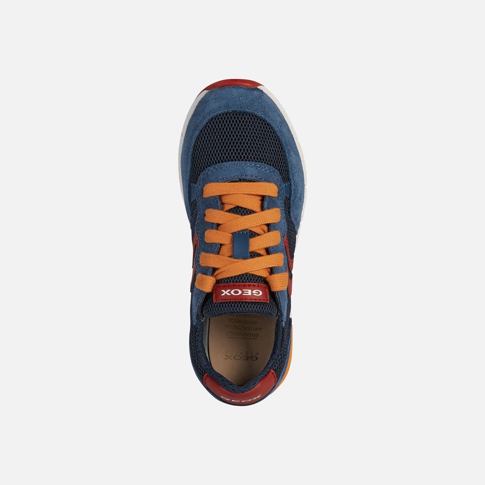 Geox Sneakers Navy/Red Alben - Geox Boys Shoes - DSBIEJ205